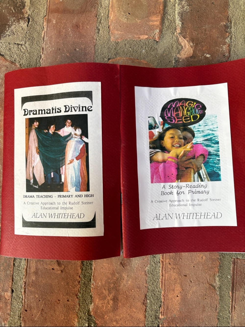 Waldorf Education Books